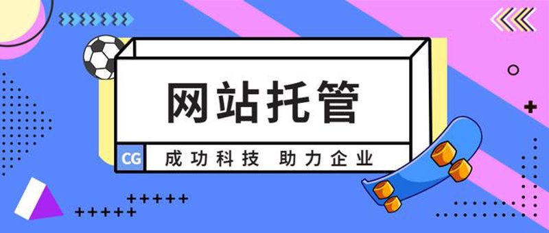 站群程序出售市场观察：机遇与挑战并存