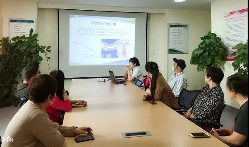 站群系统：电商行业的全新赋能工具